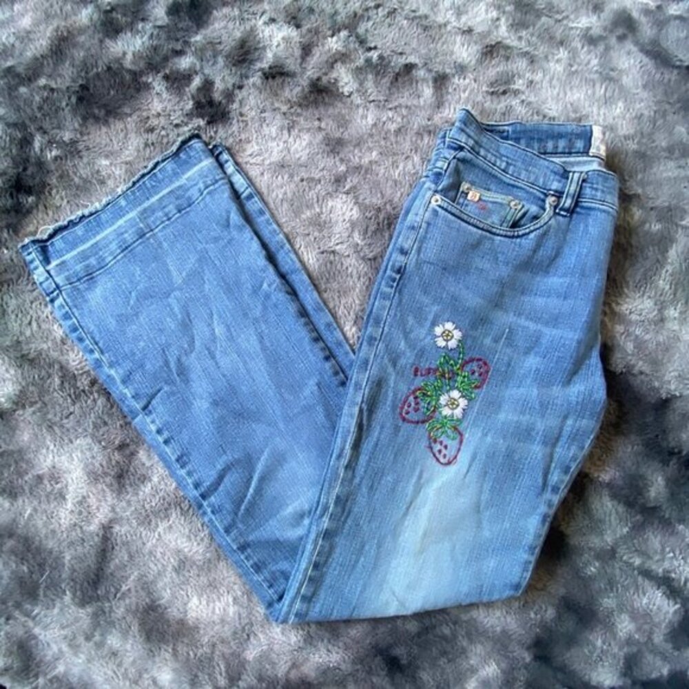 VTG Buffalo Strawberry Embroidered Jeans